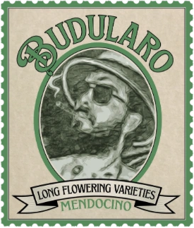 Budularo logo