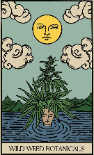 Wild Weed Botanicals logo